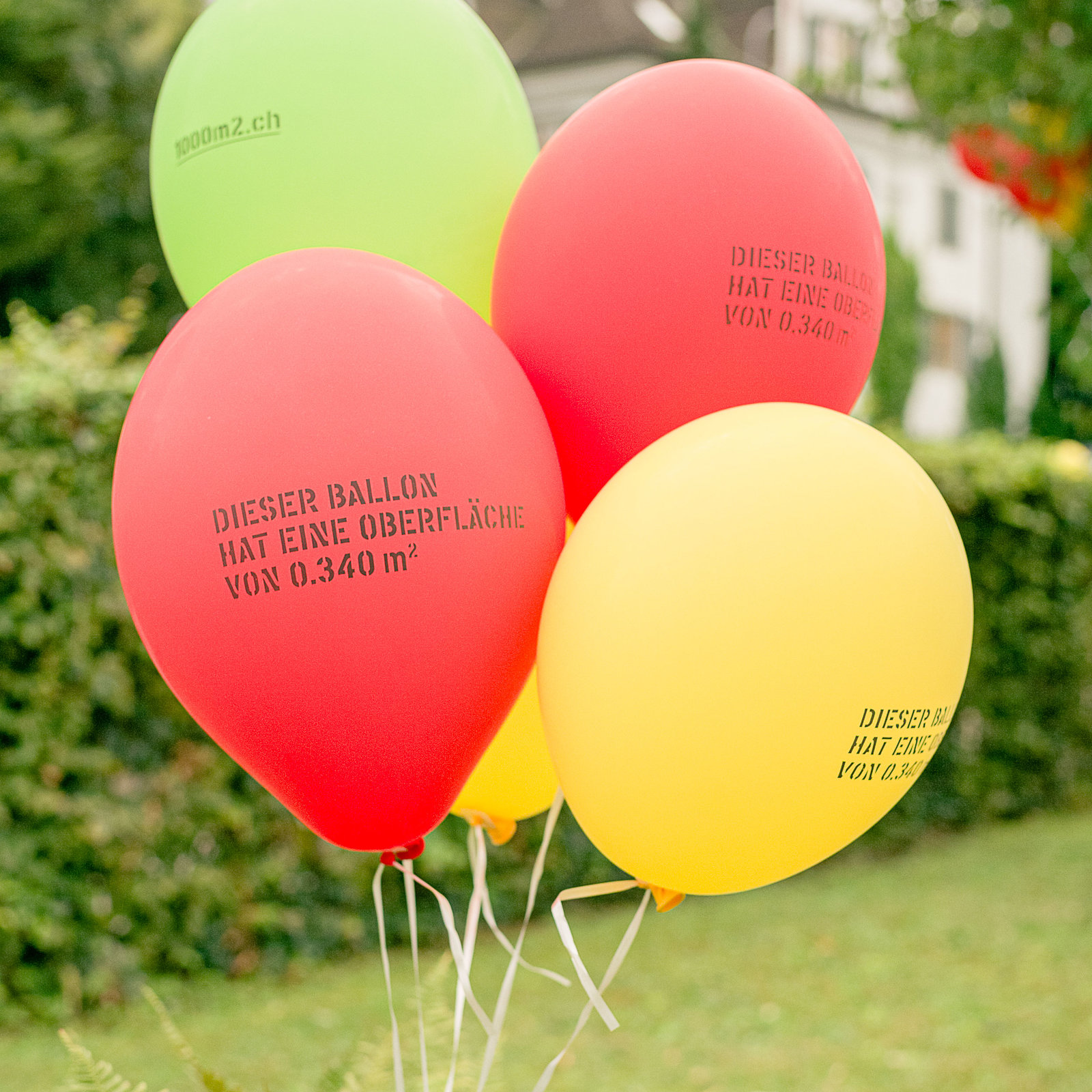 Zwischennutzung 1000m2 von Maria baut