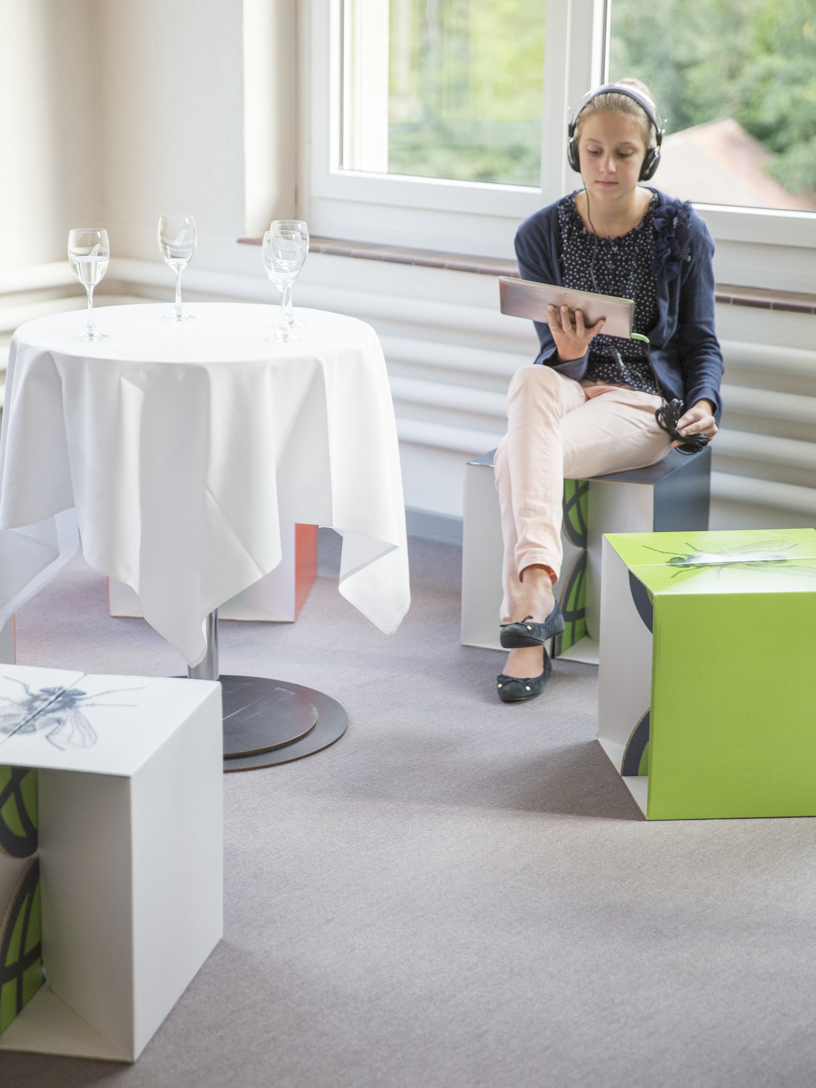 Augmented Reality Ausstellung und erste Ausgleichsfläche Insect Respect