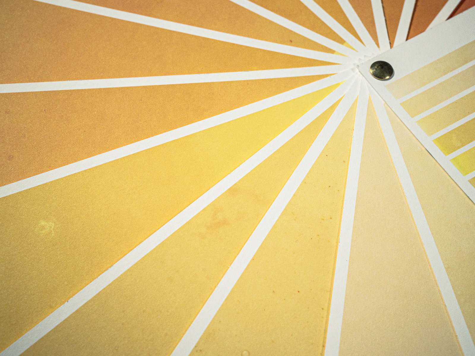 Farbfächer Bee Family