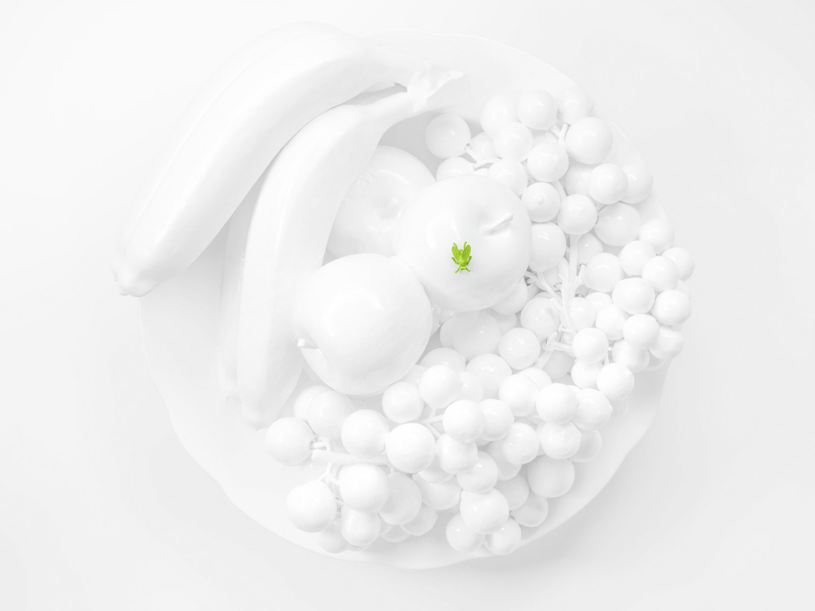 Messestand BioFach 2018 von Insect Respect