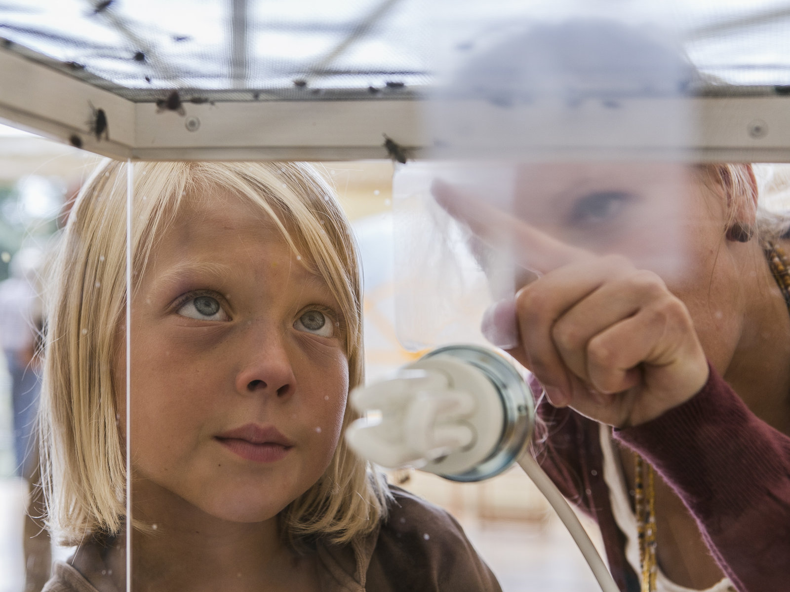 Fliegenretten in Deppendorf von Reckhaus