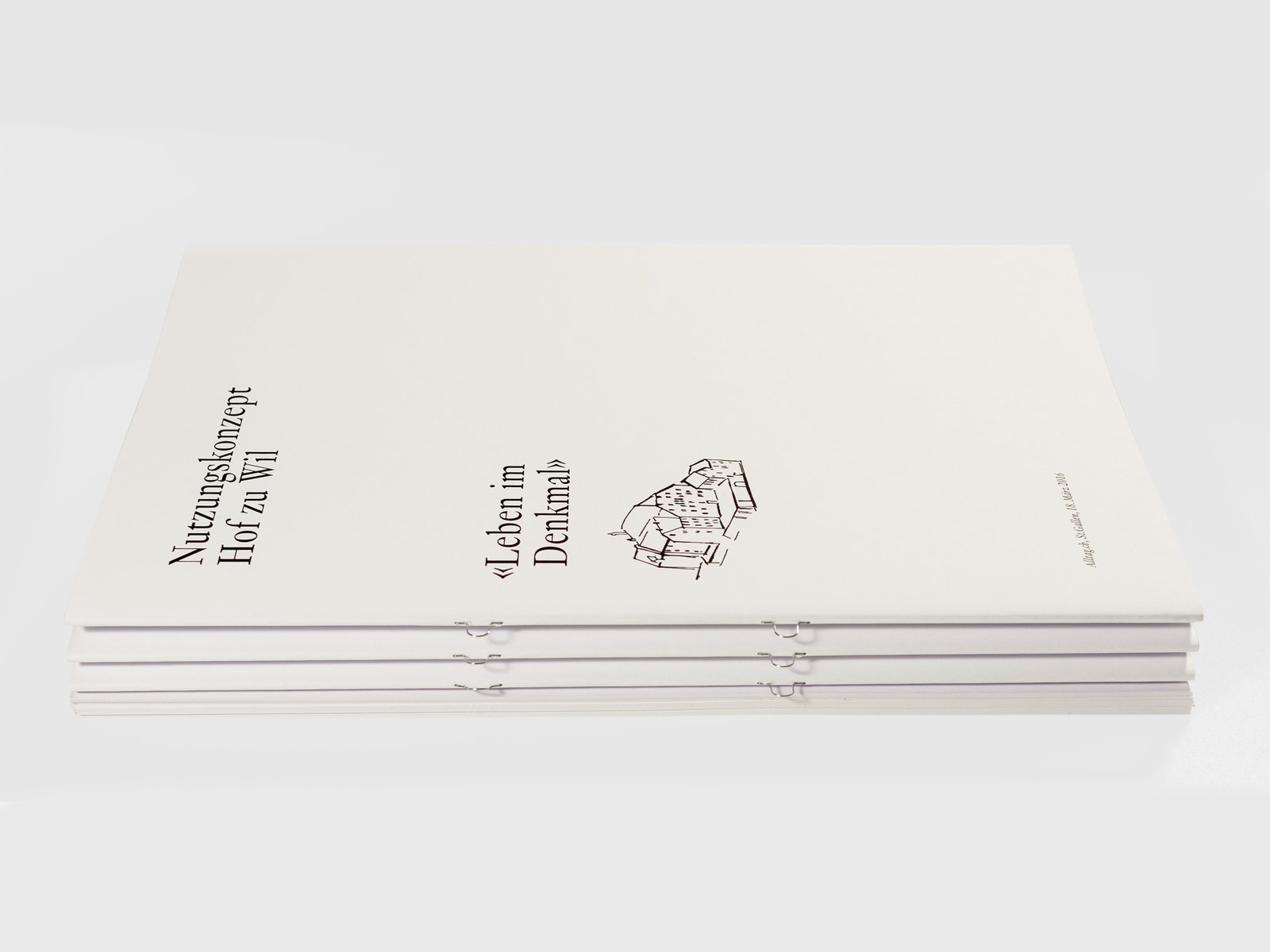 Nutzungskonzept Hof zu Wil