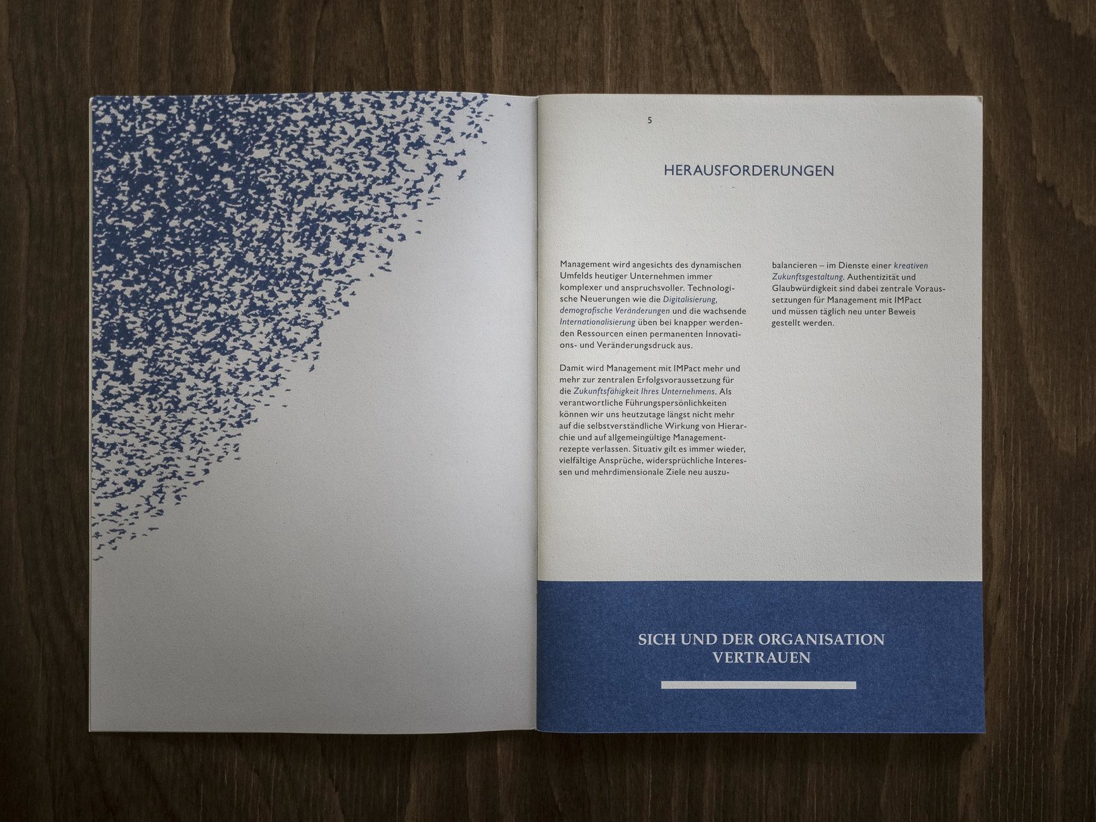 Broschüre IMP für den Kurs SKU der Universität St.Gallen