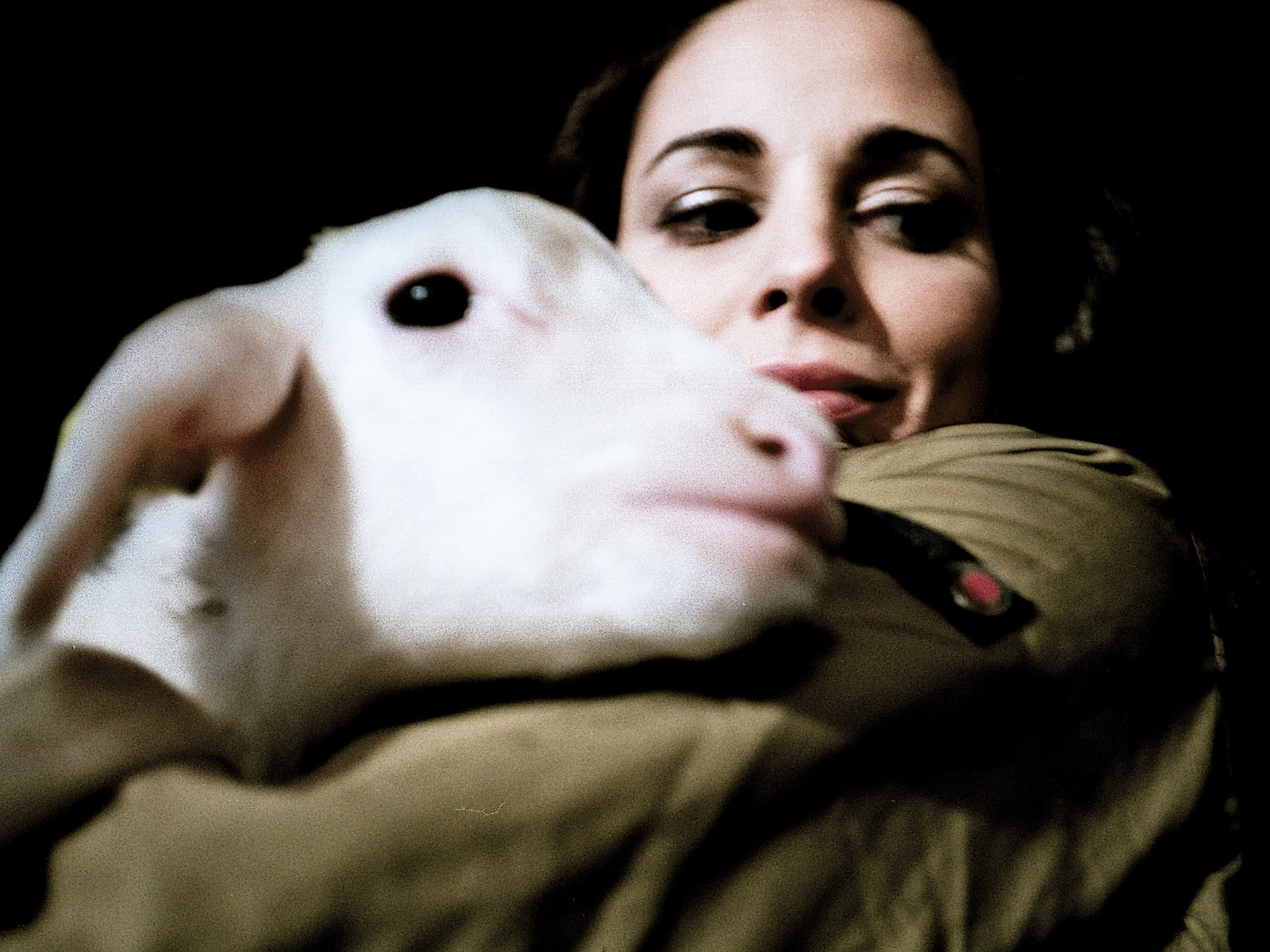 Katalog Spring 2012 Silvertag