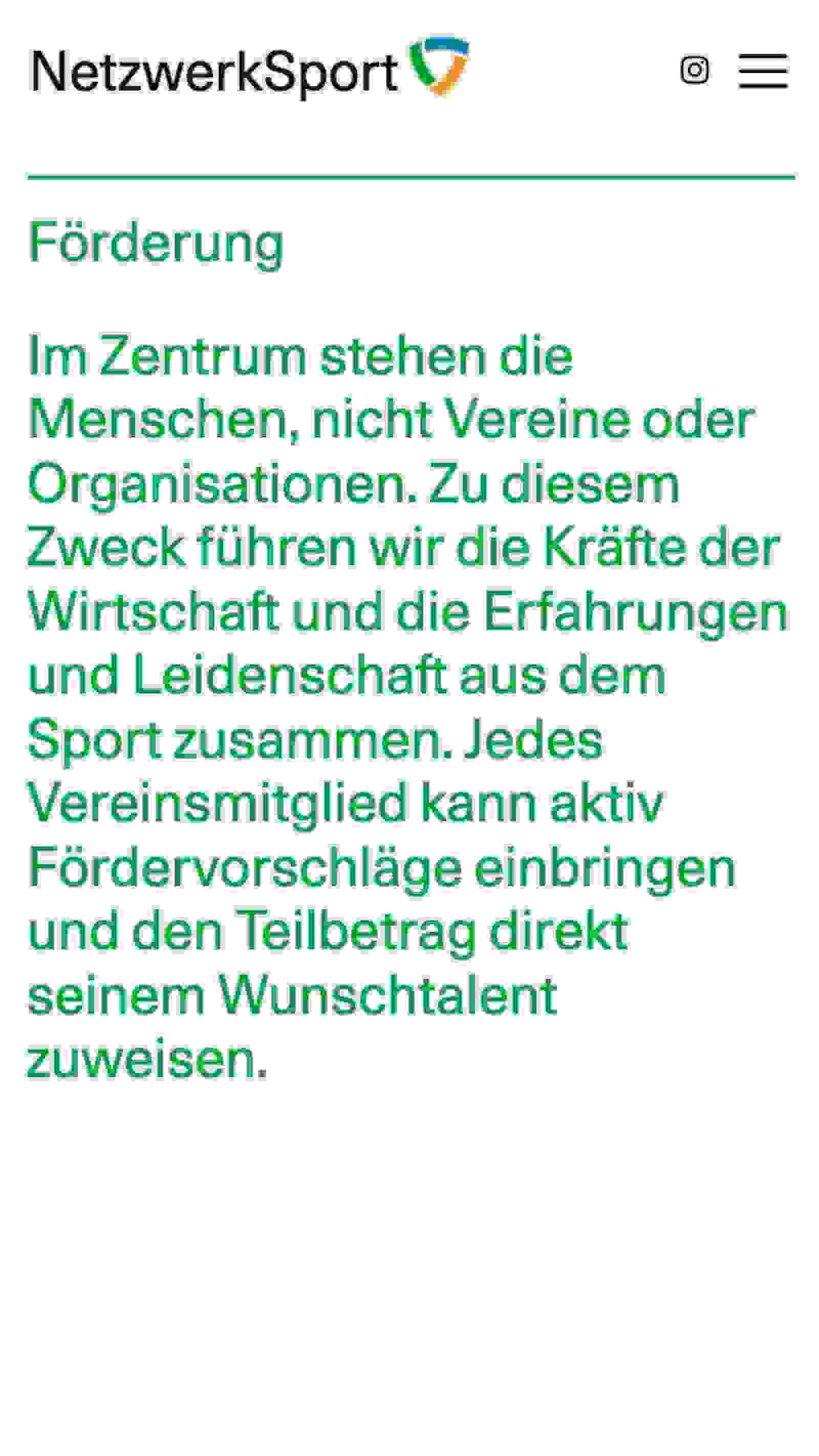 Webseite NetzwerkSport