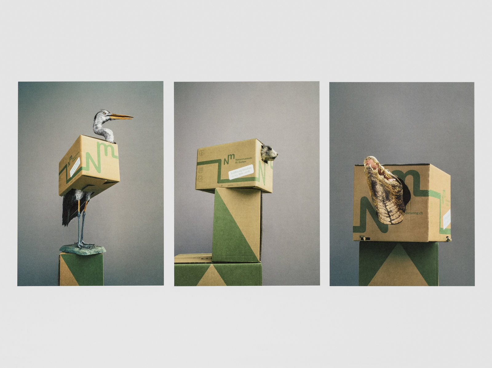 Messtestände OFFA Naturmuseum St.Gallen