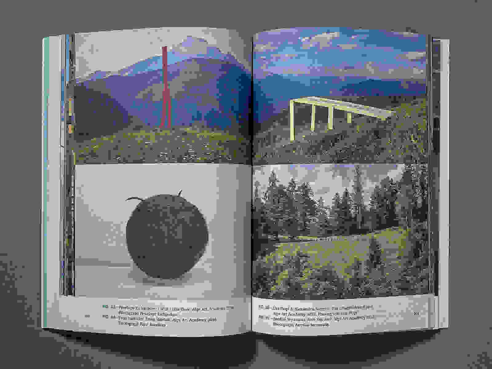 Landscape 1