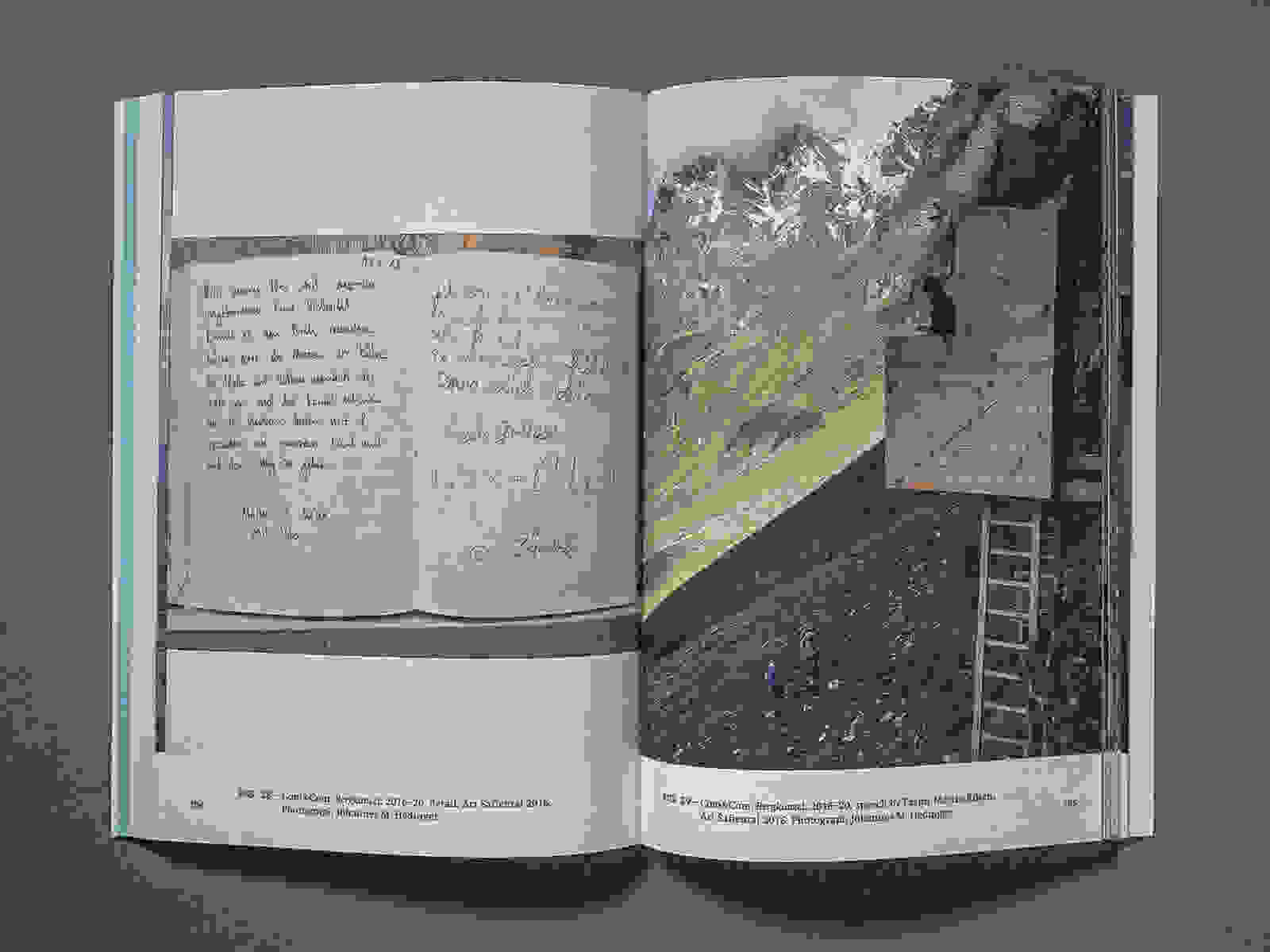 Landscape 1