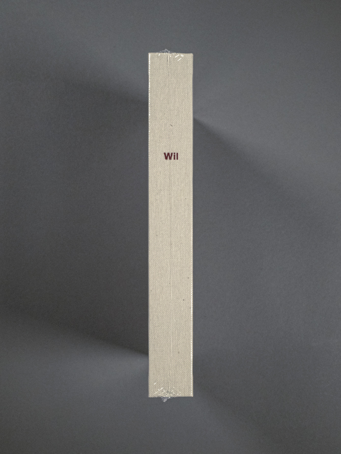 Buch «Stadt auf dem Land. Wil vom 19. Jahrhundert bis zur Gegenwart.»