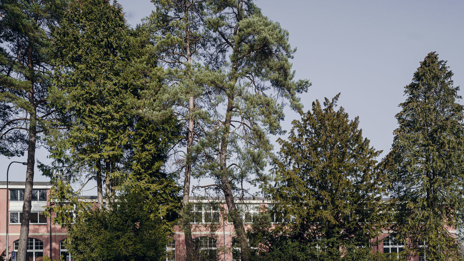 Fotografie rittmeyerstrasse.ch