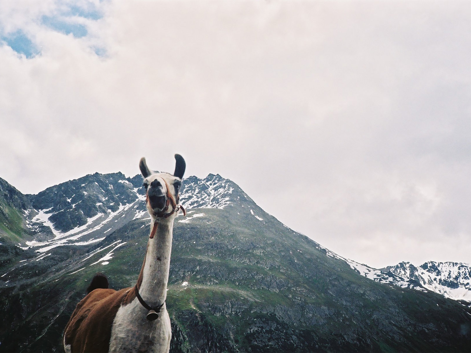 Jahreskatalog 2011/12 von rukka