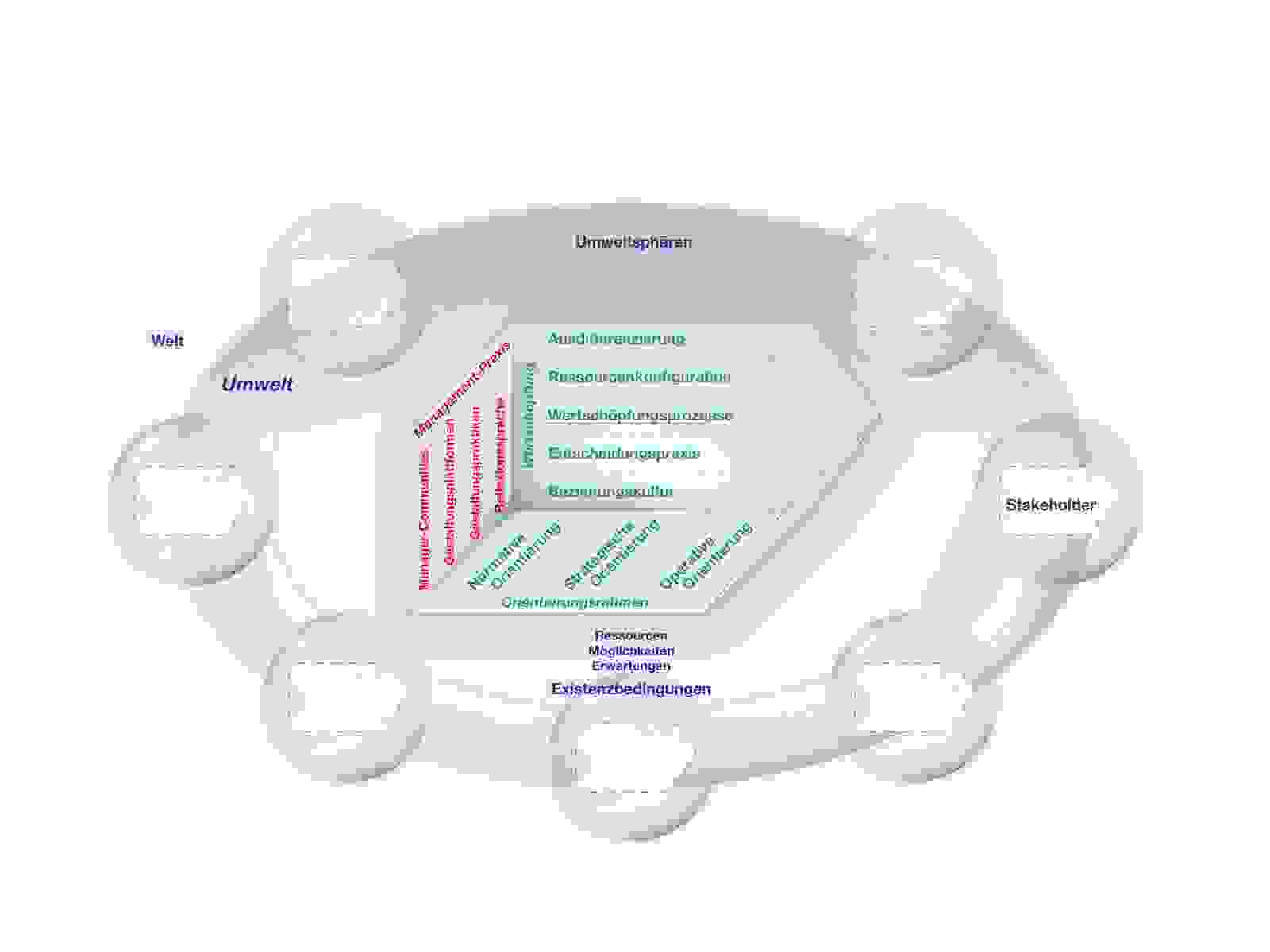 Grafik St.Galler Management Modell: Praxisperspektive