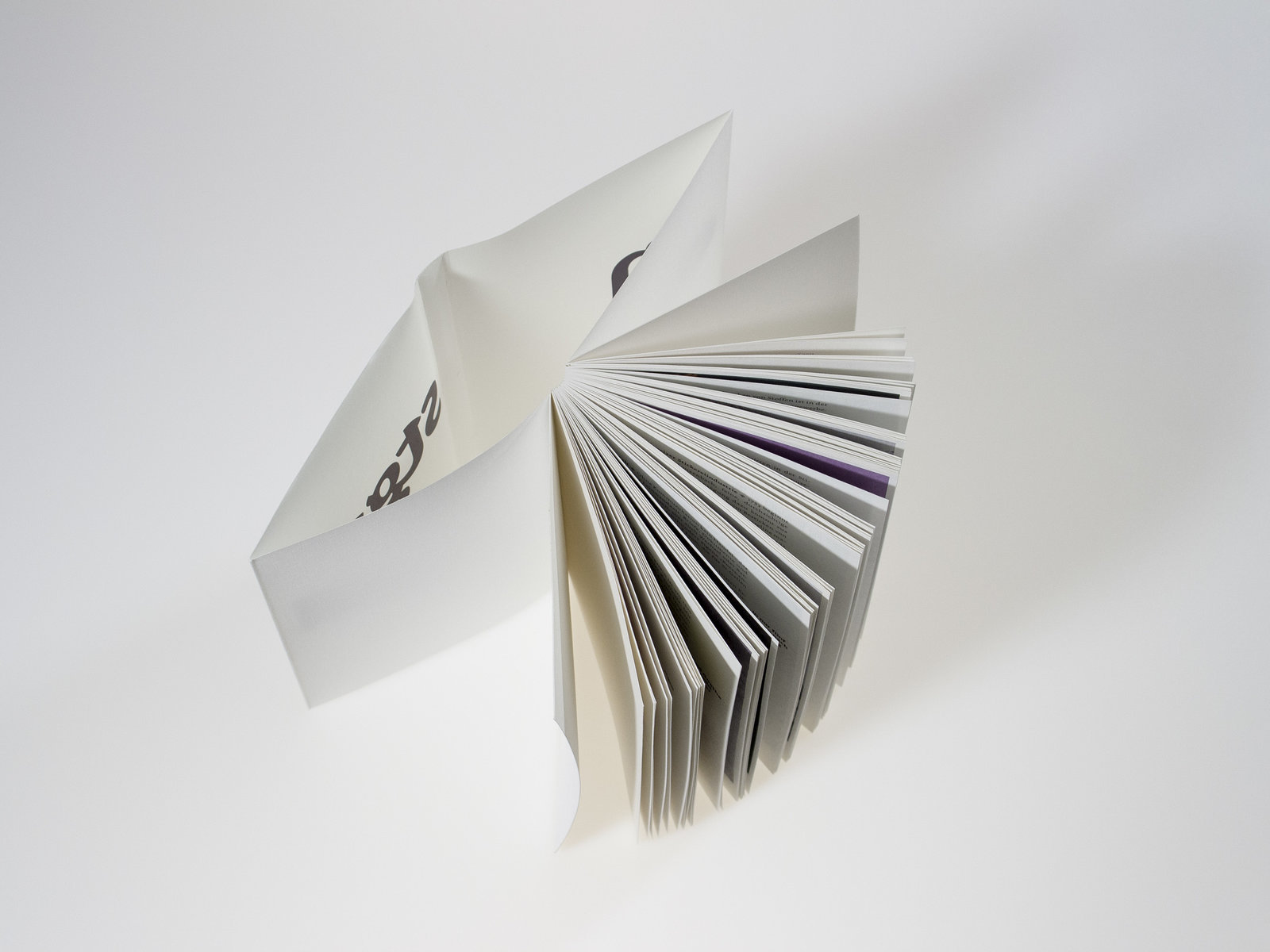 Buch StGall im Textilmuseum